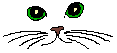 meow